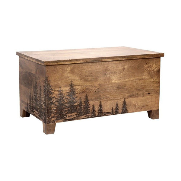 Picture of Pines Trunk