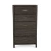 Picture of Phoenix Chest - Gray