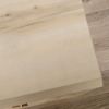 Picture of Willow Place Single Pedestal Desk - Pacific Maple