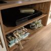 Picture of Coral Cape Entertainment Credenza - Sindoori Mango