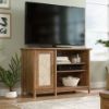 Picture of Coral Cape TV Stand - Sindoori Mango