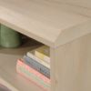 Picture of Willow Place 60" Entertainment Credenza - Pacific Maple
