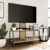 Picture of North Avenue TV Stand with Mount  - Charter Oak