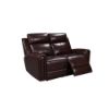 Picture of Jonathan Leather Power Reclining Loveseat - Brown
