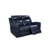 Picture of Jonathan Leather Power Reclining Loveseat - Blue