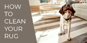 How to Clean Your Rug