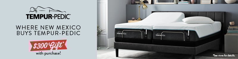 Tempur-Pedic Mattress - President's Day