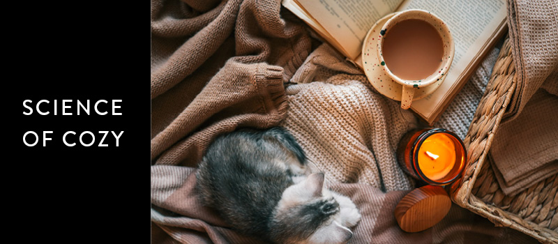 The Science of Cozy Banner