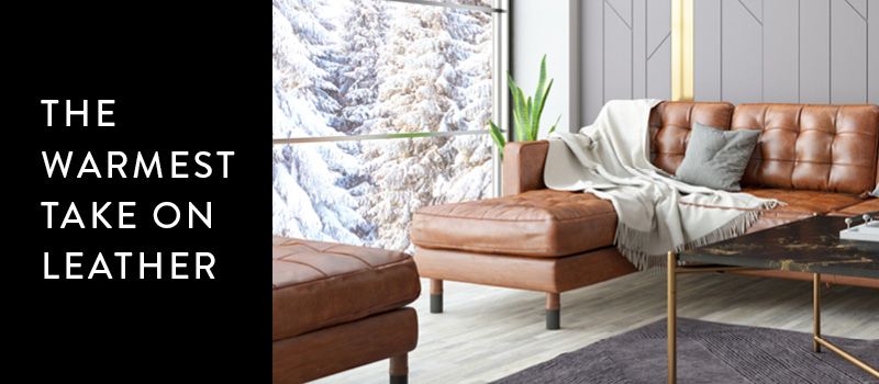 Winter Leather Banner