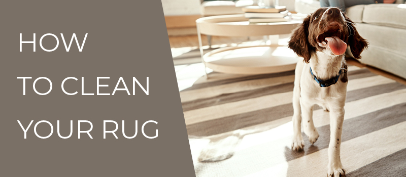 How to Clean Your Area Rug