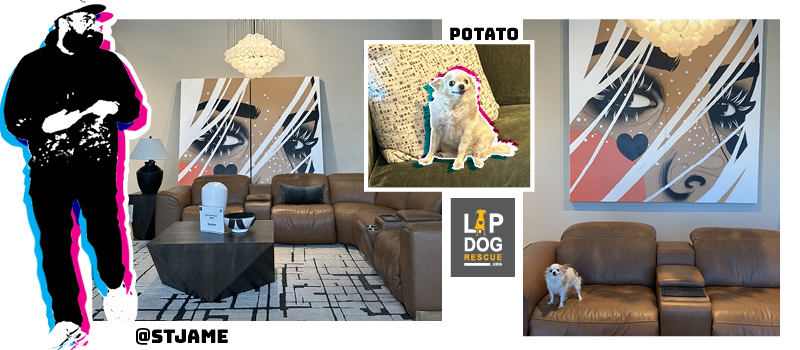 Artist St Jame's New Art Install at American Home Furniture and Mattress Flagship Location, Lap Dog New Mexico Dog Sponsorship